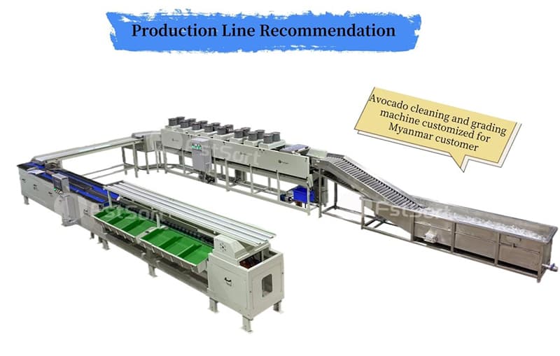 images/1686210799513pear sorter.jpg